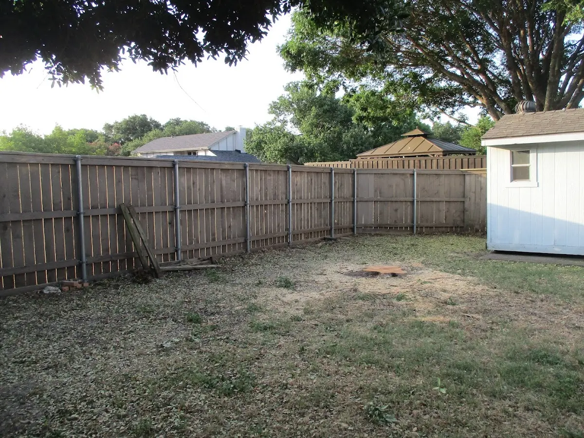 Cleared yard after professional tree removal in Tatamy